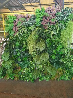 Parede de suspensão personalizada greening do verde da planta do vertical vivo para a decoração