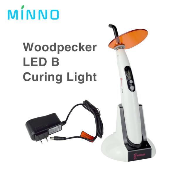 Wireless Dental Light Curing Light Dental LED B Wireless Dental UV Halogen Curing Light Blue 100V