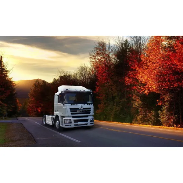 Shacman 420HP 6×4 Drive Wheel Euro 5 Emission Standard Dump Truck for Heavy Loads