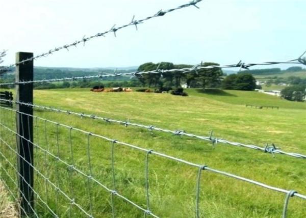High Tension 1.7MM Galvanized Barbed Wire For Barriers