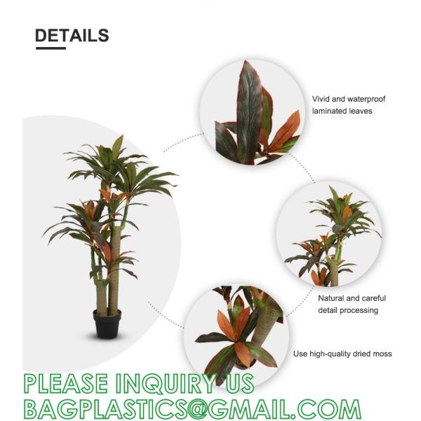 Dracaena Silk Plant Artificial 5ft Faux House Plants Evergreen Dracaena Marginata Fake Yucca Palm Trees in Pot