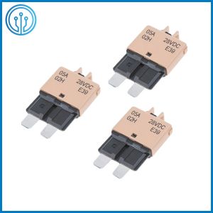 Auto Blade Fuses