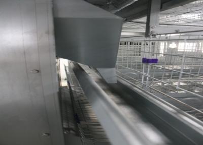 Meat Chicken Poultry Automation Equipment / Battery Type Cage Q235 Steel Wire Material