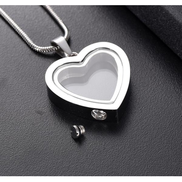 Stainless Steel Glass Heart Locket for Pet Ashes or Hair Keepsakes Memorial Necklace