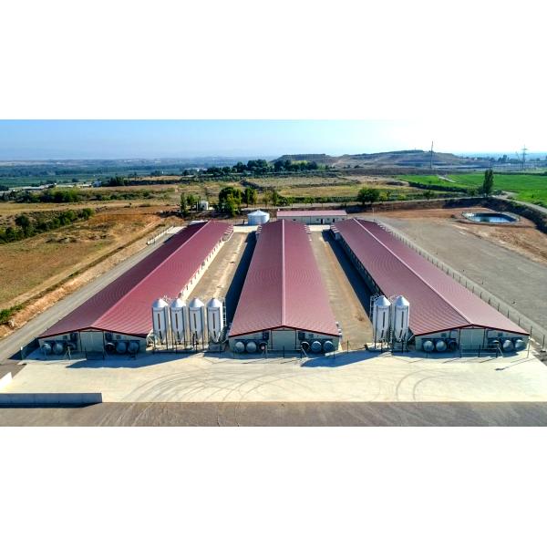 Система клеток для бройлеров птицеводческих хозяйств с чертежным дизайном MTS и стальным классом