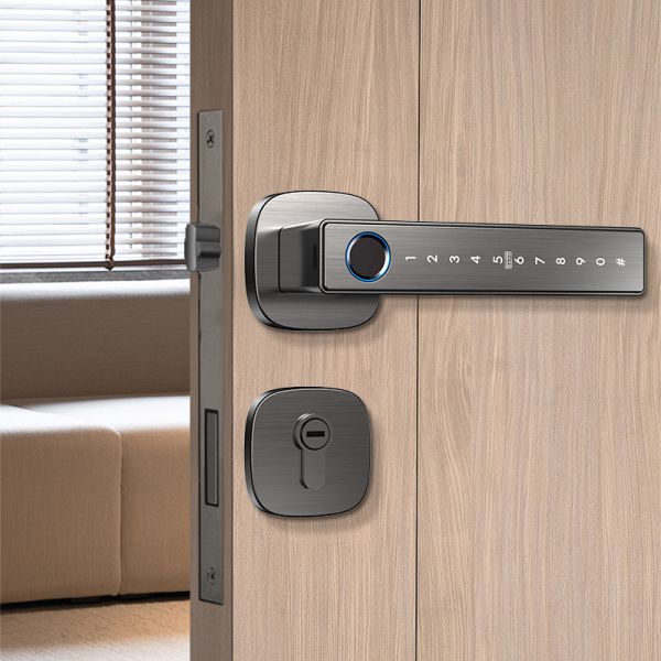 Tuya Smart Lock Fingerprint Password Key Durable Aluminum Alloy Construction Auto Lock Easy Installation Door Lock