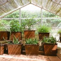 Acier de Corten de pots ronds extérieurs de planteur de fleur 2mm ou adapté aux besoins du client