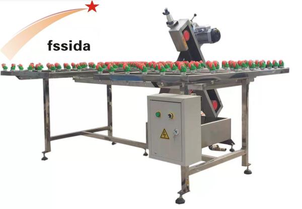Glass Belt Grinding Machine Processing Machine CE Certificate Mechanical Text Report