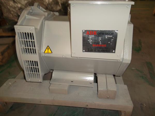 Three Phase Double Bearing Alternator
