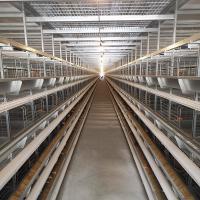 Tipo gaiola para galinhas, 3-8 tipo gaiola de U do metal de Q235 das séries H da galinha das aves domésticas