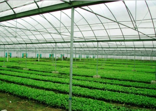 Heat Preservation Dome Style Greenhouse , Plastic Film Greenhouse With Cooling System
