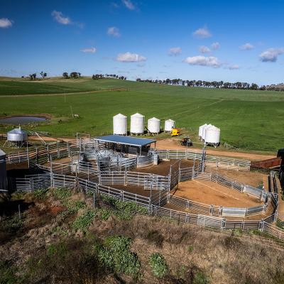 2.1m Light Grey Protective Fence Panel for Cattle Ranch