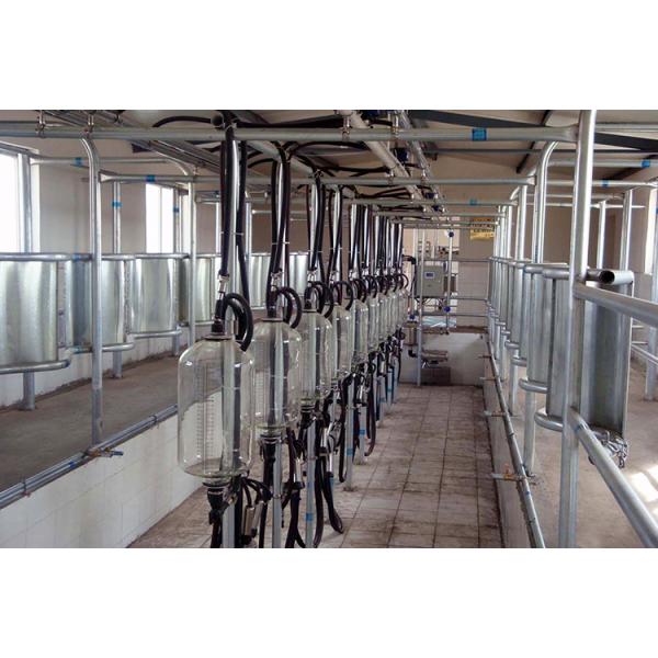 Big 110v 20 Stalls Herringbone Milk Parlor For Cow Milking