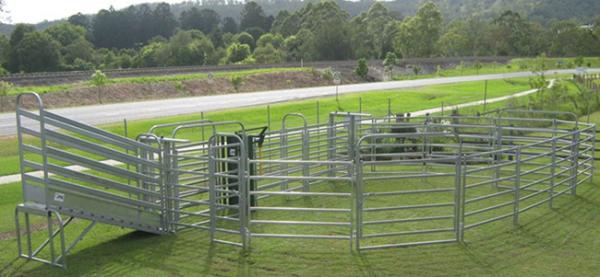 Six Bars Heavy Duty Metal Oval Rail Cattle Corral Panels For Sale For Au
