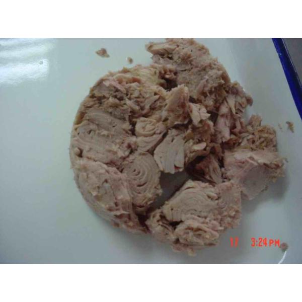 Свежей здоровой рыбы тунца/белое мясо тунца замерли большей частью, который для штапеля обеденного времени