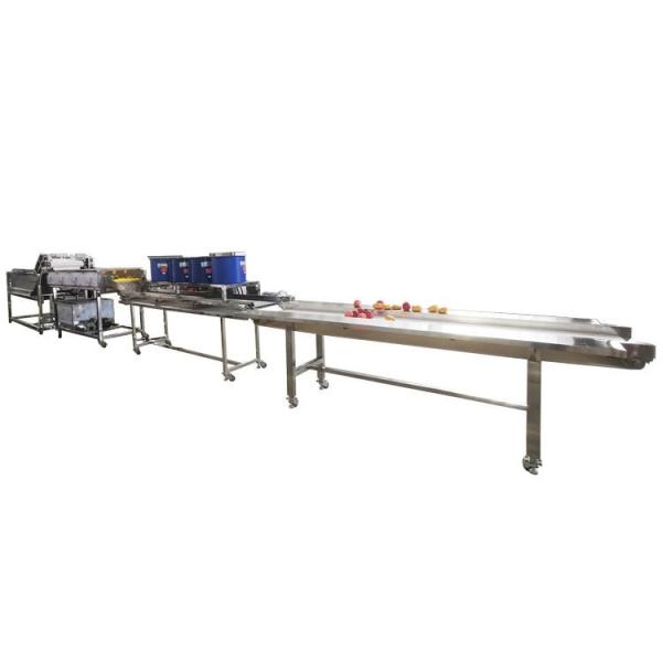 Commercial Industrial Washing Machine For Sale Vegetable and Fruits