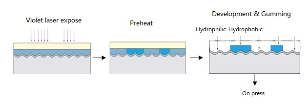Низкая сеть химии офсетная печать отрицательной работая фиолетовой плиты Photopolymer цифров