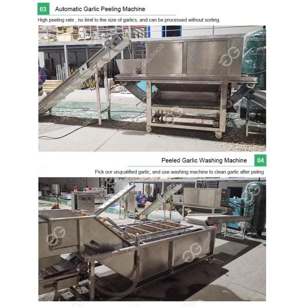 CE certified commercial Garlic Separating Peeling Packaging Production Line Garlic Peeler Machine Project