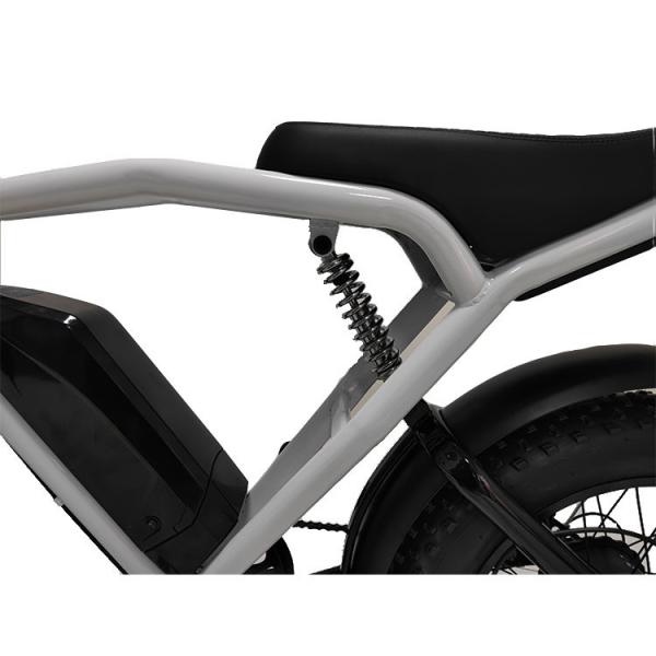 1460*320*840mm REMOVABLE BATTERY Hot E-Bike Fat Tire Mountain Bike Electric Bicycle