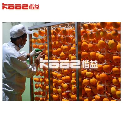 Persimmon Peeling Machine Compact Structure Persimmon Drying Machine
