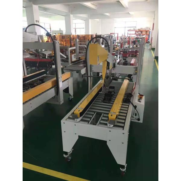 IP65 Packaging Line with Case Carton Bag Box Erector Folding Sealer Palletizer System