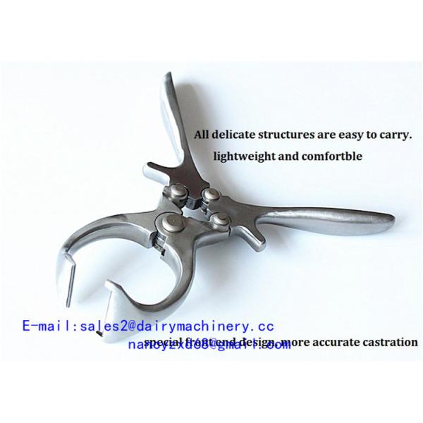 Бескровный кастратор из нержавеющей стали для скота, щипцы для кастрации свиней, быстрый и эффективный