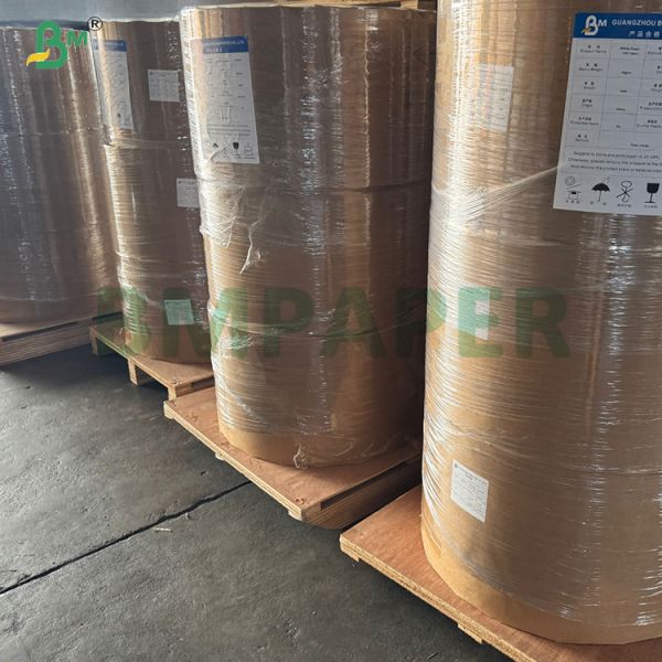 35gsm Odorless Cupcake Paper In Roll FDA  SGS for Air Fryer Cooking Oven Use