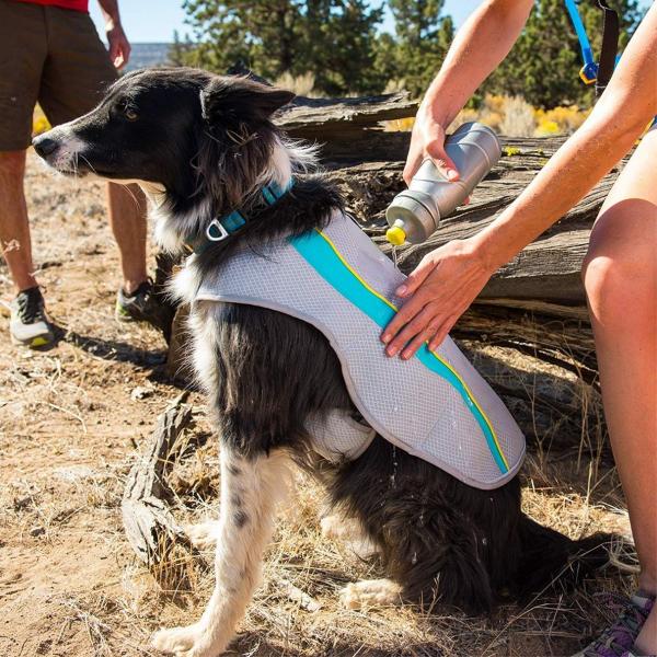  				Crufts Dog Cool Cooling Coat Vest for Hot Days - All Sizes Extra Small to Large 	        