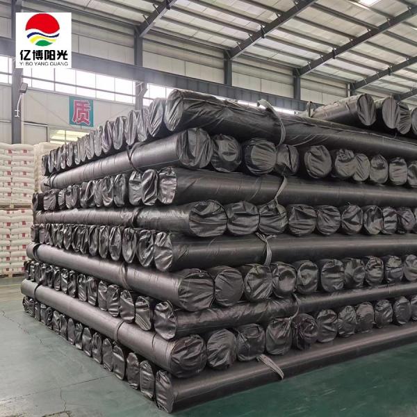 Flexible Geomembrane Liners for Fish Farm Pond/Dam/Landfill/Water Conservancy Project