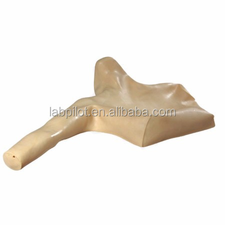 Advanced PICC Simulator and Peripheral Venous Puncture Teaching Model for Human Size