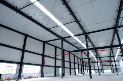 De aço agrícola - construções quadro, construções de aço industriais