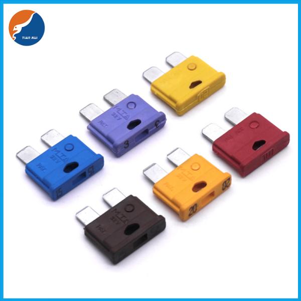 Волдырь пакуя регулярный стандартный набор 5 ассортимента взрывателя 10pcs 7,5 10 15 20 25 30 40 AMP