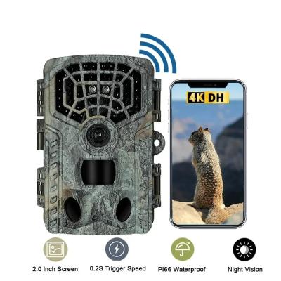 Wildlife Trail Camera HD Low Glow Arction 48MP IP65 Waterproof Outdoor Photo Trap with Night Vision