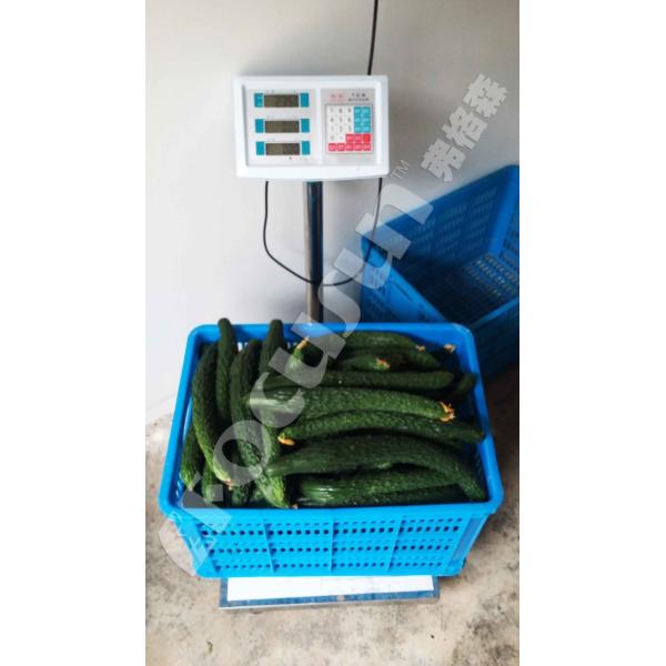 En el caso de las plantas de cultivo de frutas y hortalizas, el sistema de refrigeración por vacío de color azul proporciona un sistema de inspección de salida de vídeo.