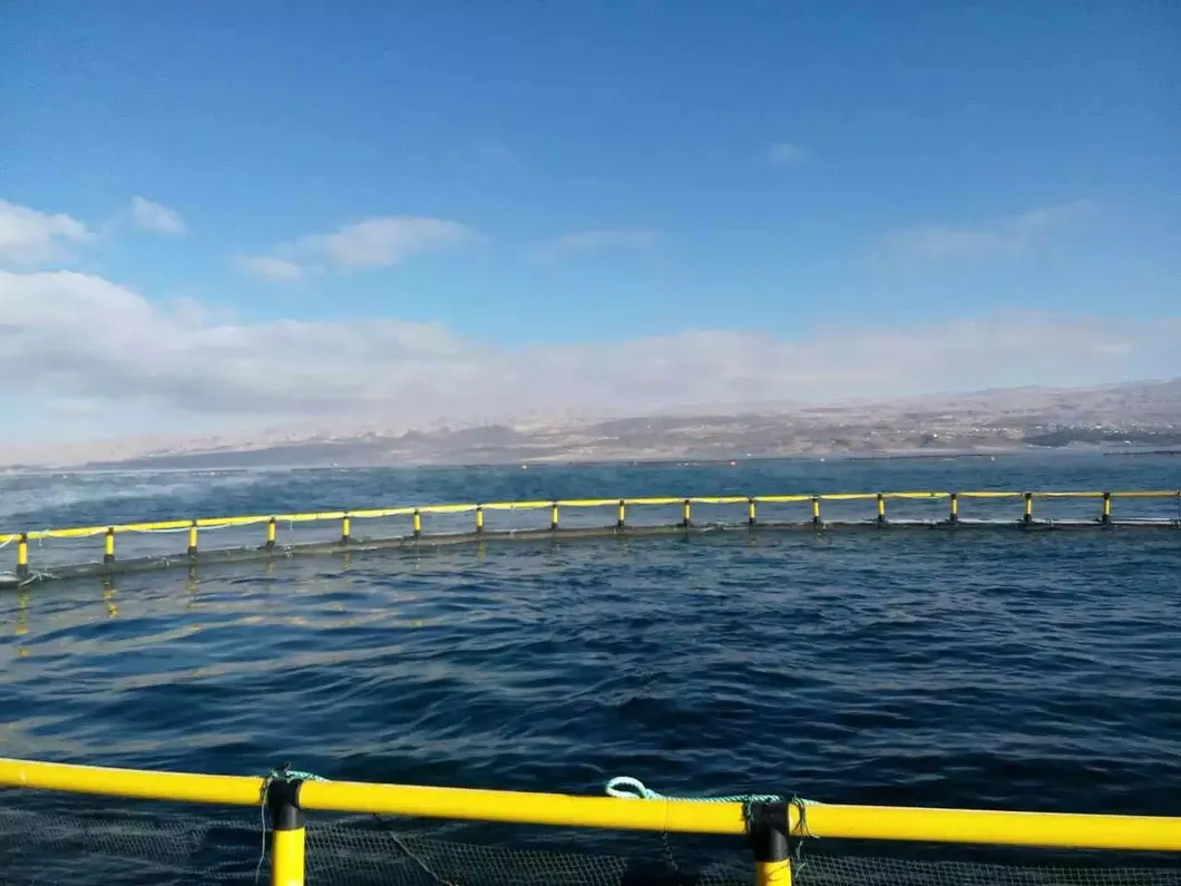 Caja de peces circular de HDPE de 10 m a 50 m de diámetro para acuicultura
