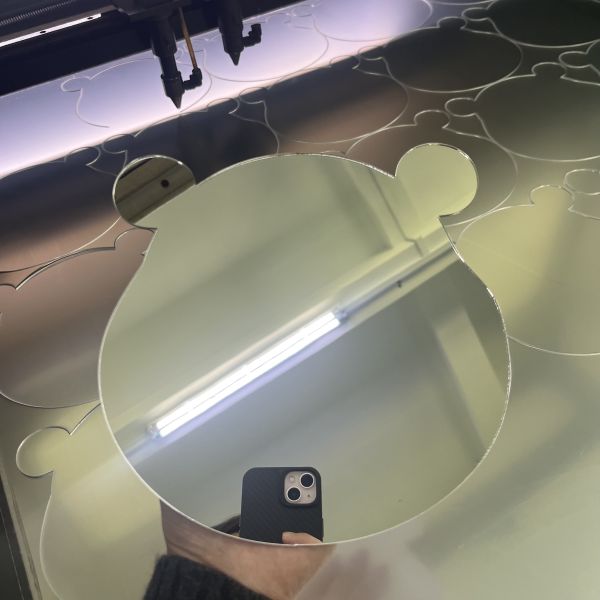 Premium Laser Cut Animal Art Acrylic Mirror Sheets Manufacturer , Interior Wall Decoration Perspex Acrylic Sheet