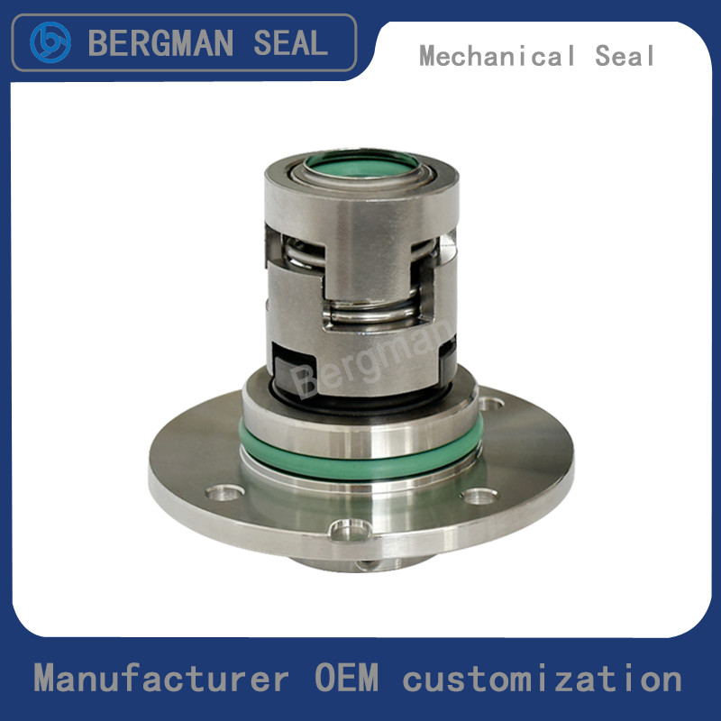BERGMAN Заменить Grundfos GLF-CR-12 16 22 мм Фланцевый насос Механическая уплотнитель CAR SIC TC VITON EPDM