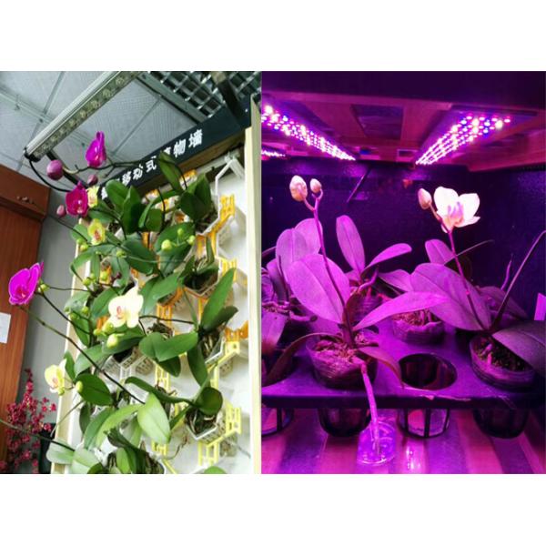 Полный бар СИД 45В спектра 90км растет светлым для дома растет водоустойчивым с 85-265Вак