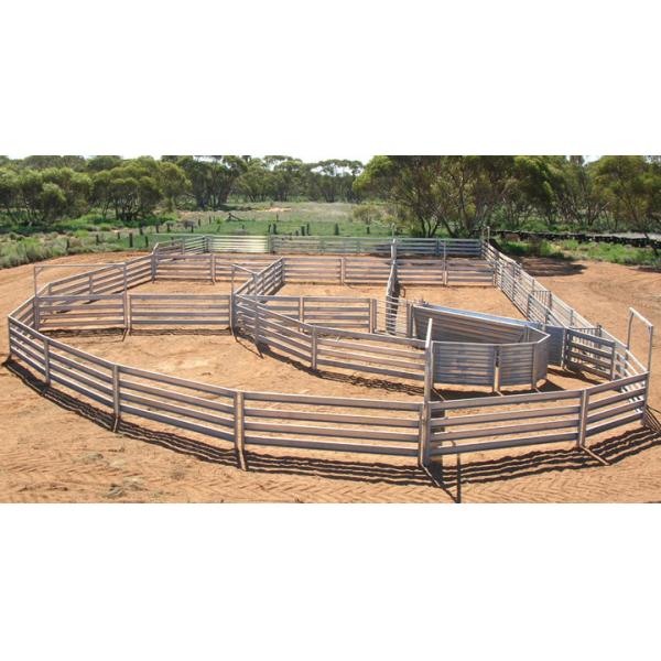 200 Head Sheep Yard Panels Pre Hot Dip Galvanized Strong Permanent