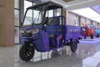 New  for adults cargo electric tricycles passenger use  vehicle