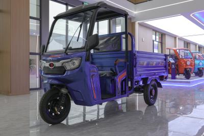 1000W Passenger Electric Motorcycle 3 Wheel Truck For Adults