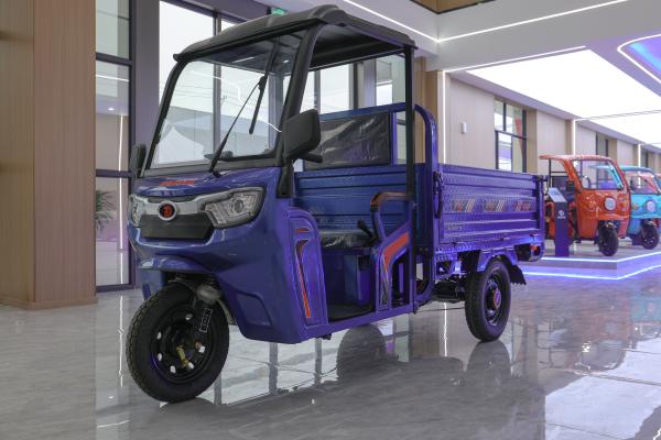 3 Wheel Semi Enclosed Electric Tricycle For Cargo 800W 30-50Km/H
