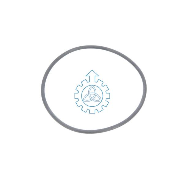 1769798 Truck Repair Kit 2mm O Ring For Scania Series Cars And Buses