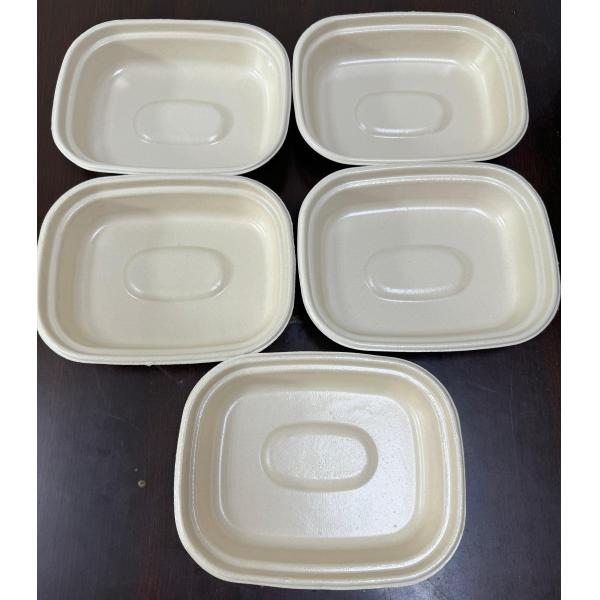 Carbon-Neutral Dual-Station Spin Coating Prototyper for Plant-Based Tableware - Carbon-Neutral Solution for Plates, Bowls & Meat Trays