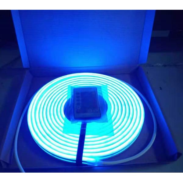 5M IP65 делают свет водостойким 12W/M SMD5050 84LED/M неоновый Rgb