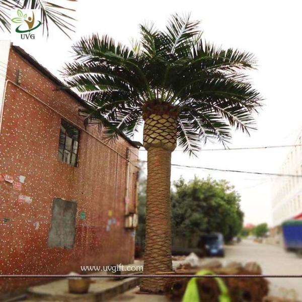UVG High simulation outdoor artificial date palm trees with fiberglass trunk for decor