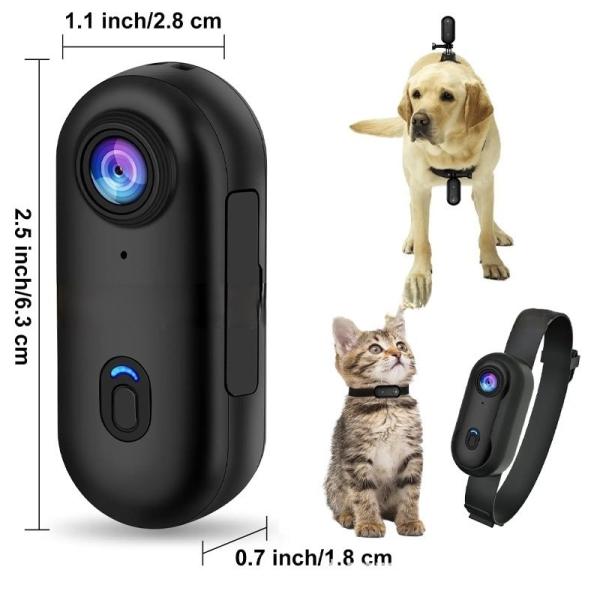 Small Night Vision Pet Wearable Camera Collar HD 1080P Two Way Audio Voice Control