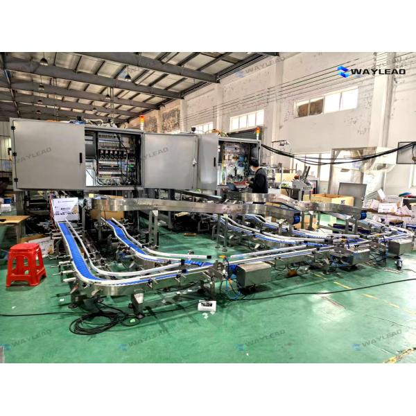 Fully Automatic HFFS Horizontal Flow Wrapping Machine with 120-300 mm Package Length 35-80 mm Width and 3.1 KW Power