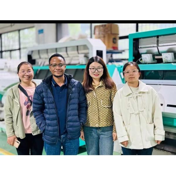 Sunflower Seeds Color Sorter Machine Sunflower Seeds Processing Machine