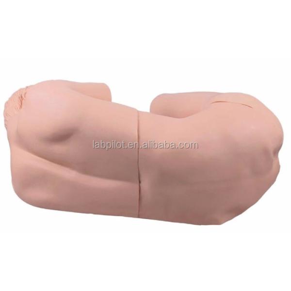 Advanced Medical Model Lumbar Puncture Skills Training for Clinical Nursing Education